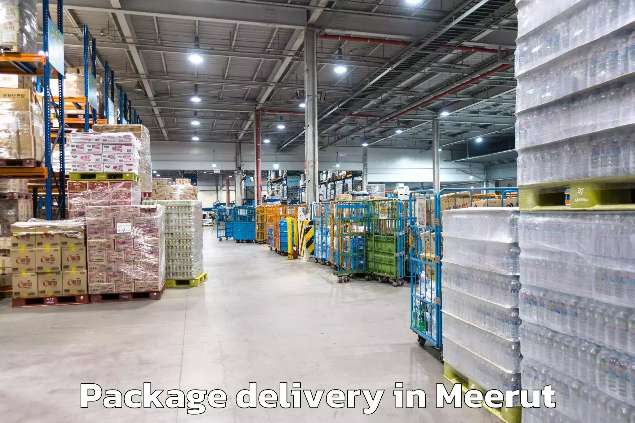 Package Delivery in Meerut, Uttar Pradesh (UP)